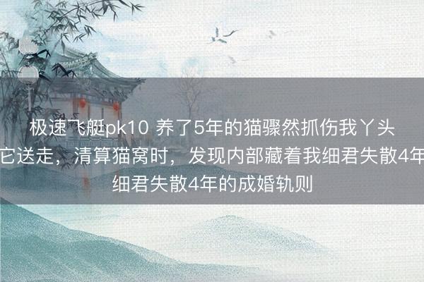 极速飞艇pk10 养了5年的猫骤然抓伤我丫头,我狠心将它送走,清算猫窝时,发现内部藏着我细君失散4年的成婚轨则