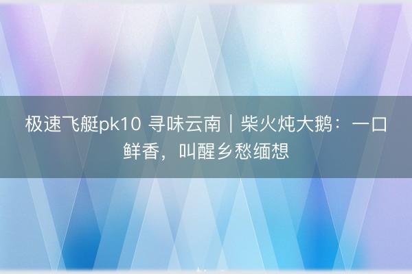 极速飞艇pk10 寻味云南|柴火炖大鹅:一口鲜香,叫醒乡愁缅想