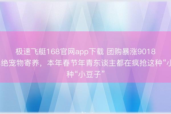 极速飞艇168官网app下载 团购暴涨9018%,卓绝宠物寄养,本年春节年青东谈主都在疯抢这种“小豆子”